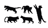 Wild Cats detailed vector or silhouettes set black and white
