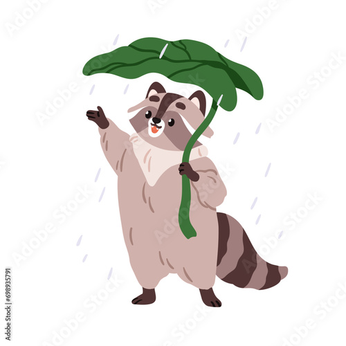 Cute raccoon under leaf umbrella in warm summer rain. Funny animal character enjoying rainy weather with natural shelter. Happy joyful racoon. Flat vector illustration isolated on white background