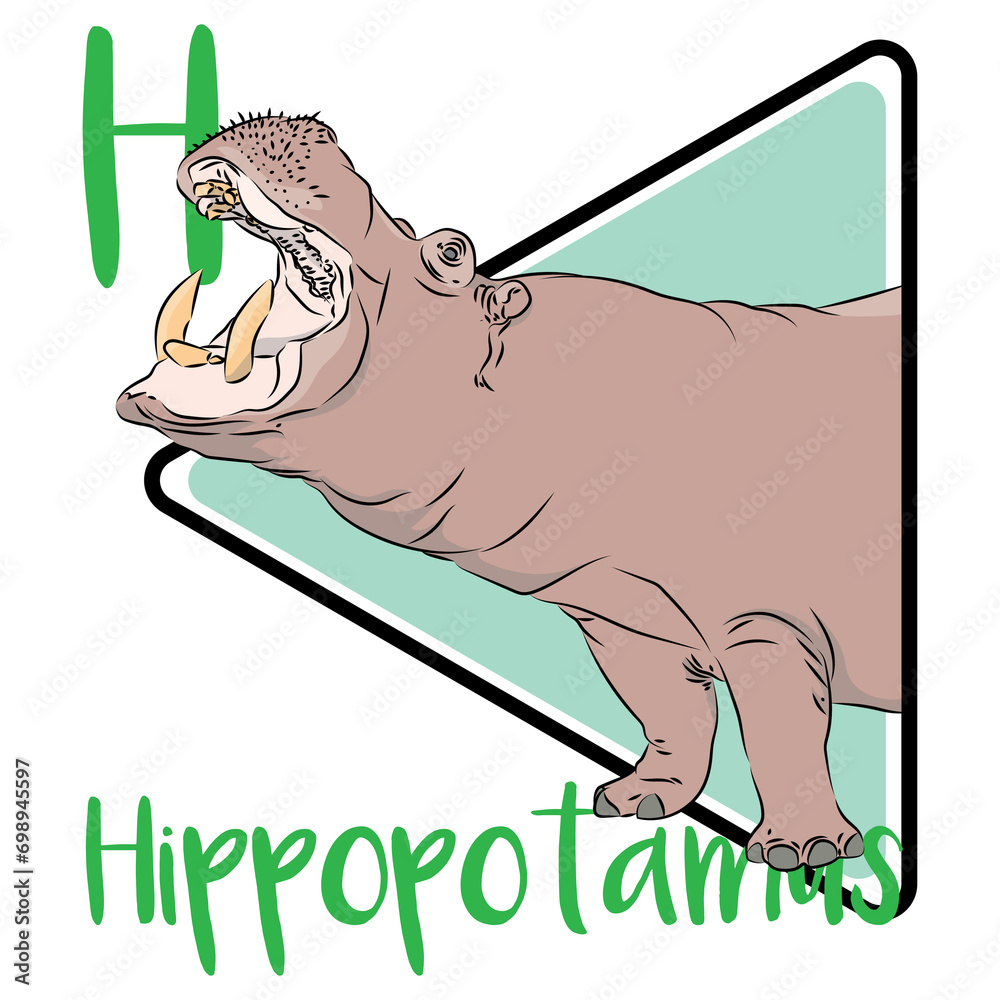 Hippopotamus is Greek for “river horse,” and is often seen basking on