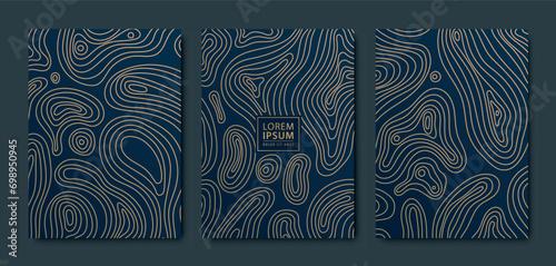 Vector wavy typography line patterns, abstract luxury map background. Wine, perfume geometric package, curve cover. Premium land illustration templates