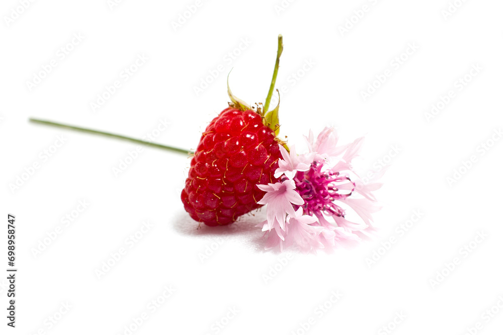 Raspberries on a white background Raspberries on a white background