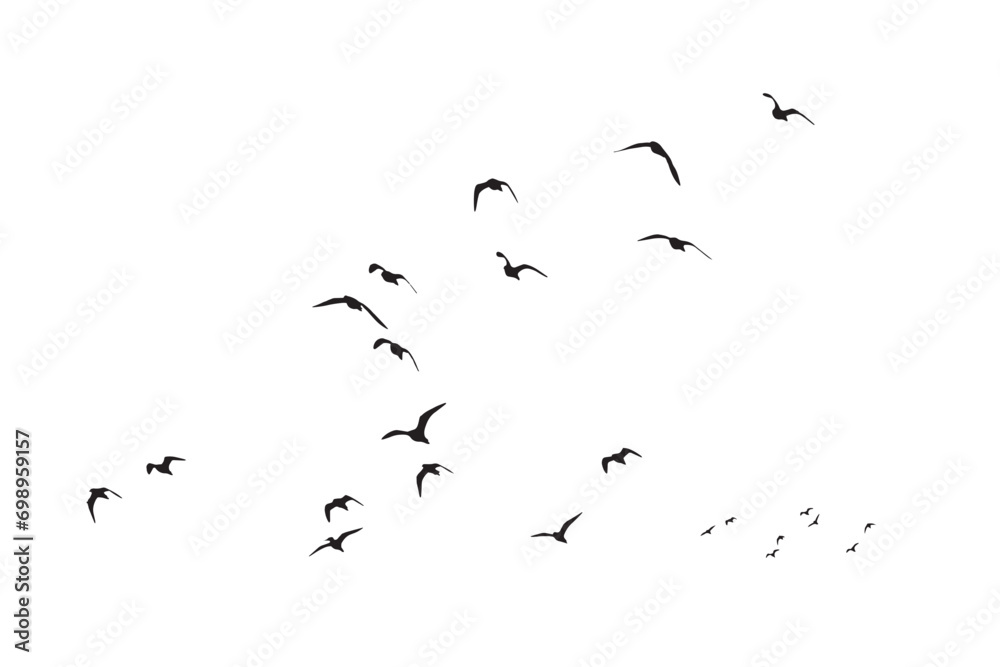 Birds flying in the sky with a natural distribution. Natural vector birds. - obrazy, fototapety, plakaty 
