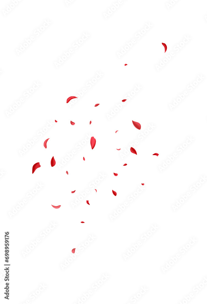 Delicate Cherry Japanese Vector White Background.