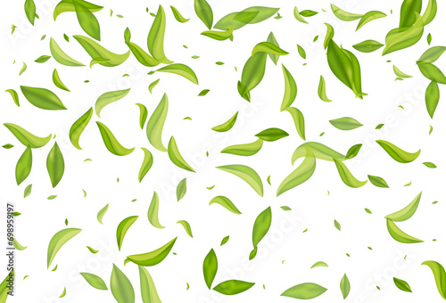 Olive Greens Fly Vector White Background Pattern.