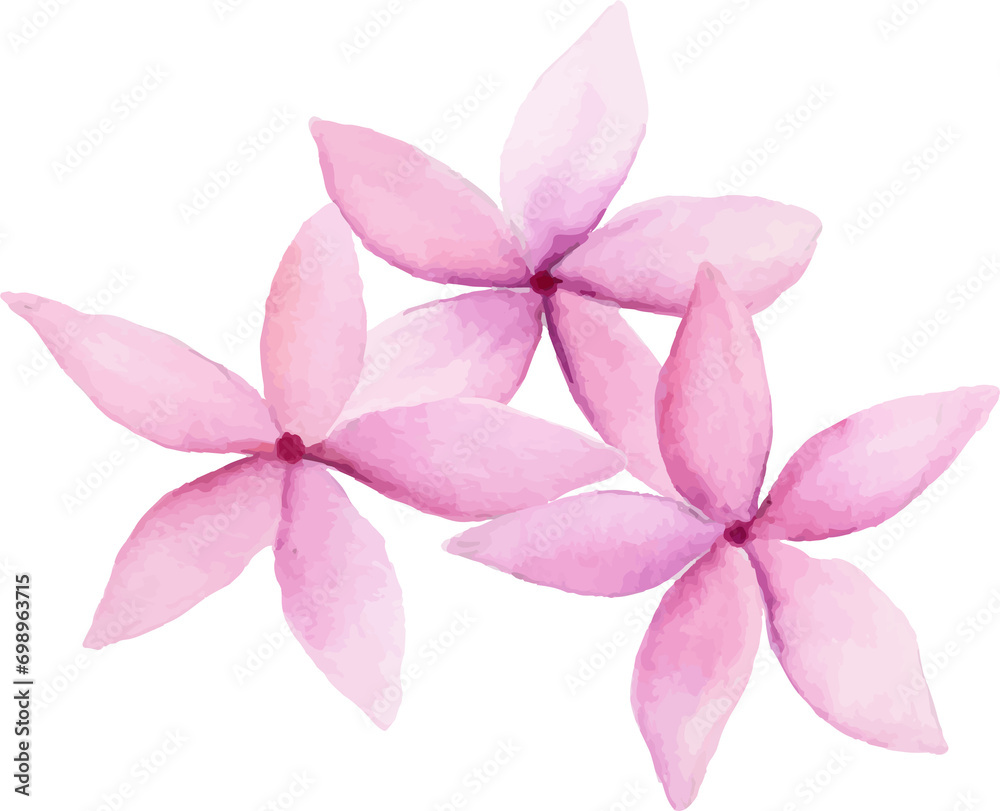 Watercolor pink purple flower