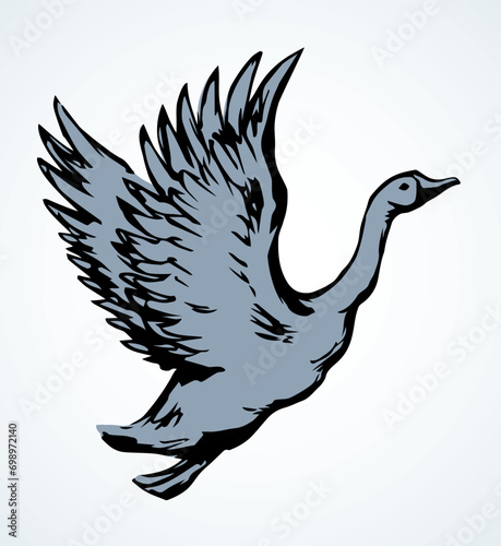 Goose in flight. Vector drawing