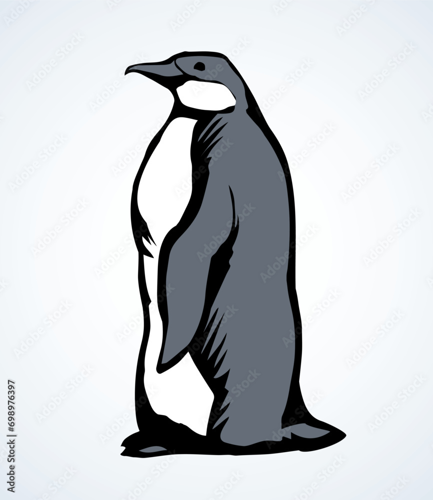 Naklejka premium Penguin on the ice. Vector drawing