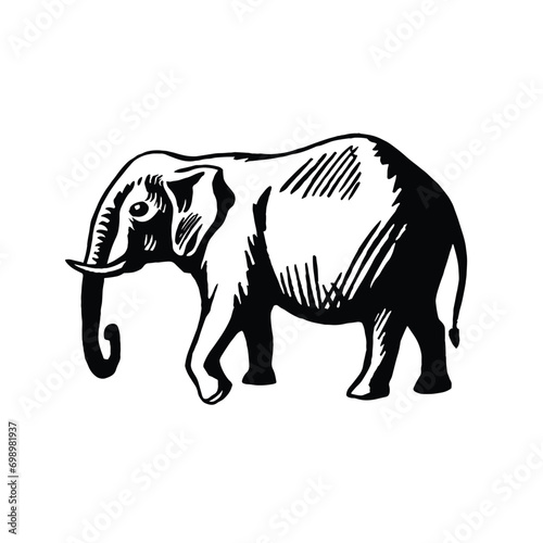 Fototapeta Naklejka Na Ścianę i Meble -  elephant illustration