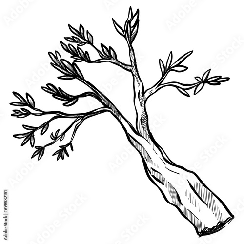 small tree handdrawn illustration