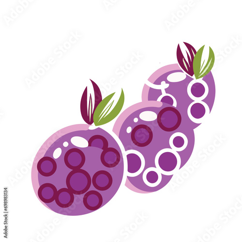 illustration of berries