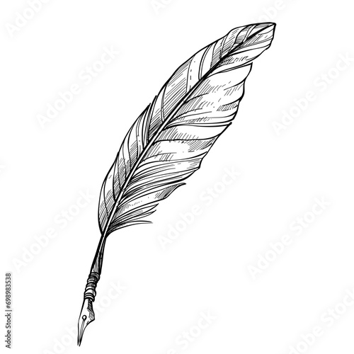 quill handdrawn illustration