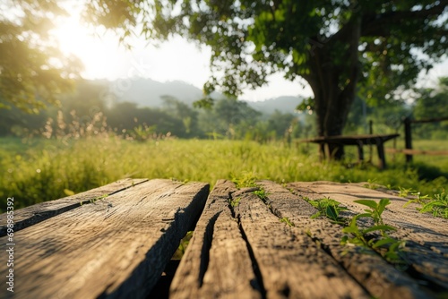 Serene Dawn in Lush Landscape: Sunlight Bathing an Old Wooden Table Under a Majestic Tree