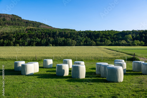 Bales of hay wrapped in foil lie on a green meadow