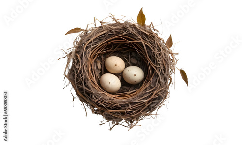 nest with eggs isolated on transparent or white background, cutout, top view,png. photo