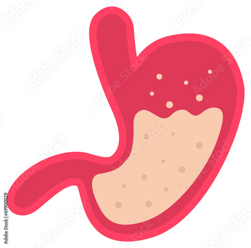 stomach vector illustration