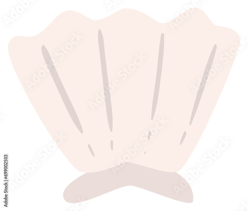 shell vector illustration