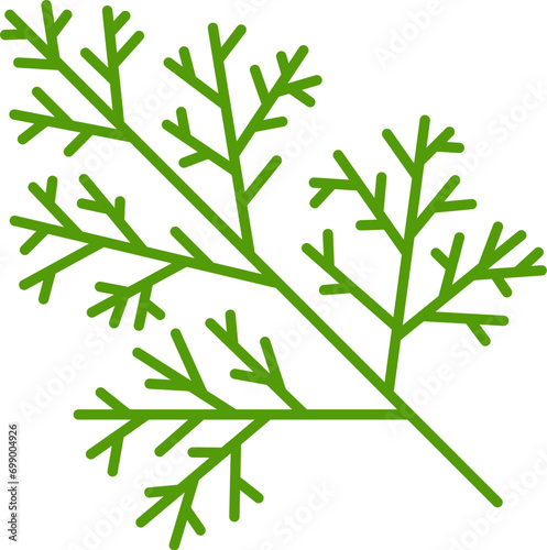 Green dill seasoning herb condiment, outline icon. Vector dill head annual herb, flavoring spicy fennel branch, perennial plant photo