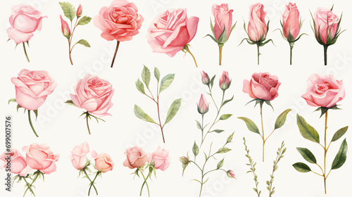 Watercolor Rose Clipart Create Beautiful