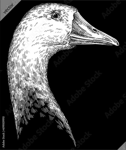 Vintage engraving isolated duck set illustration goose ink sketch. Farm bird background silhouette geese art. Black and white hand drawn vector image