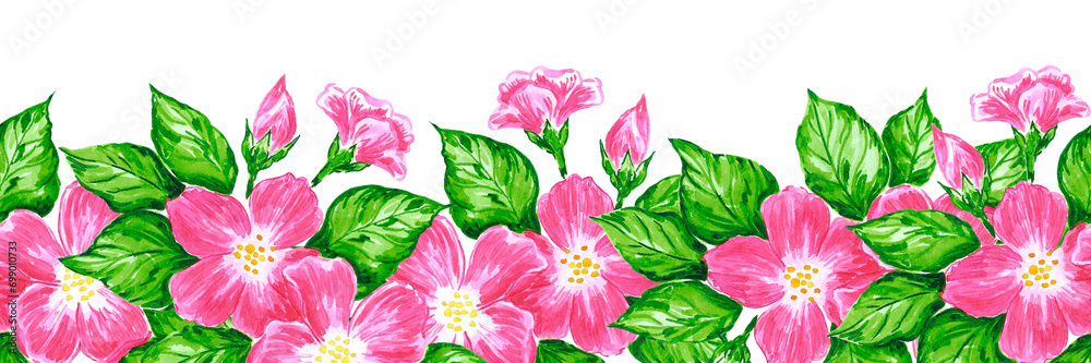 Hand drawn watercolor pink apple blossom seamless boarder isolated on white background. Can be used for label, tape, decoration and other printed products. Hand drawn watercolor pink apple blossom seamless boarder isolated on white background. Can be used for label, tape, decoration and other printed products.