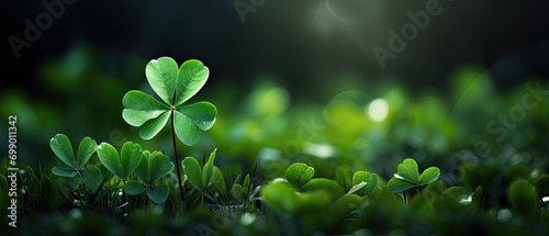 Green clover leaf isolated on blur background. with leaved shamrocks. St. Patrick's day holiday symbol. Lucky green clover and nature background  © Planetz