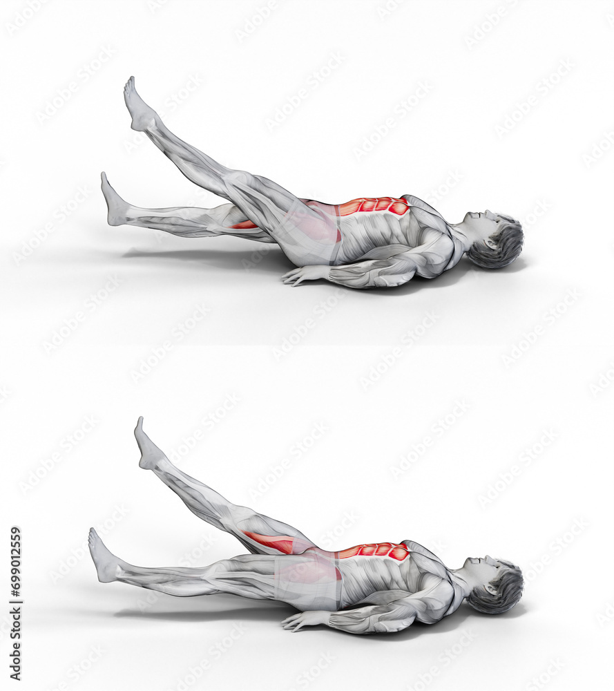 004 Flutter Kicks 3D Anatomy of fitness and bodybuilding. An