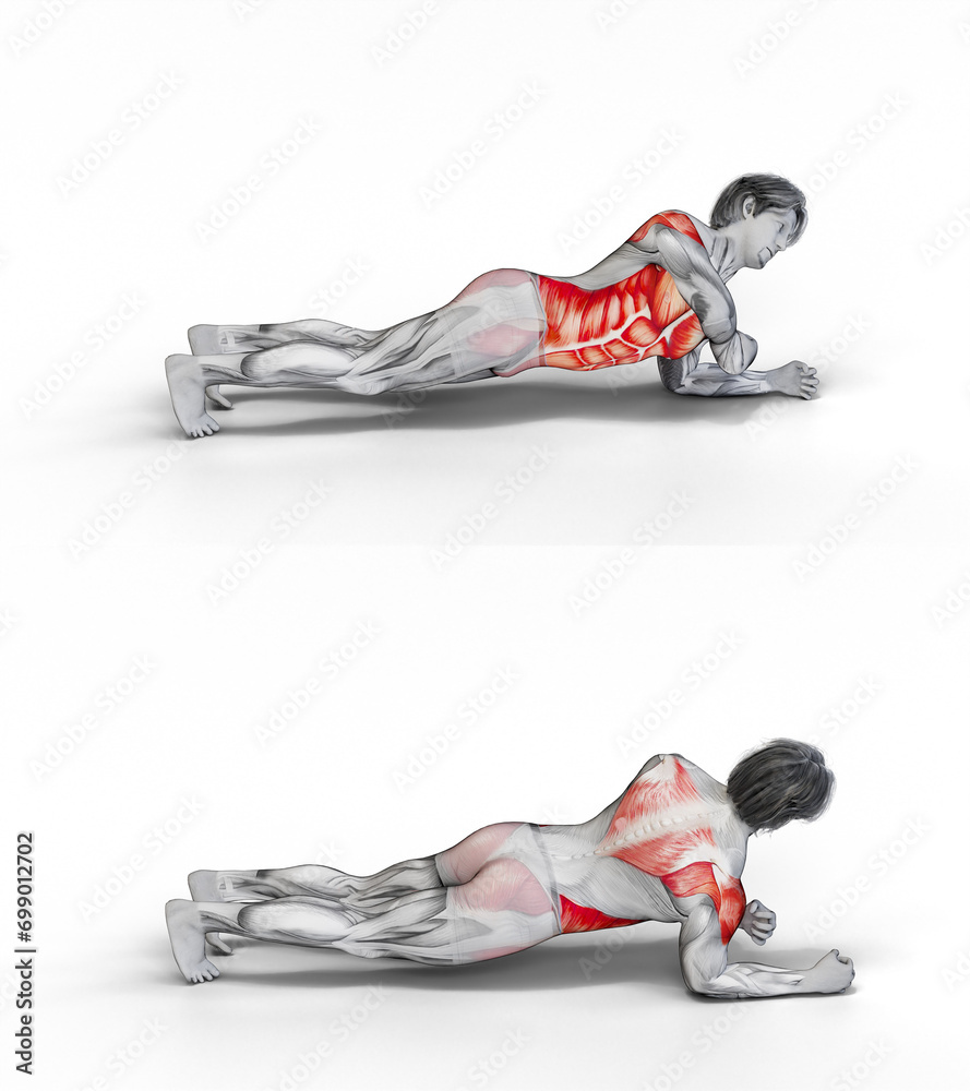 012 Elbow Touch Plank. 3D Anatomy of fitness and bodybuilding. An