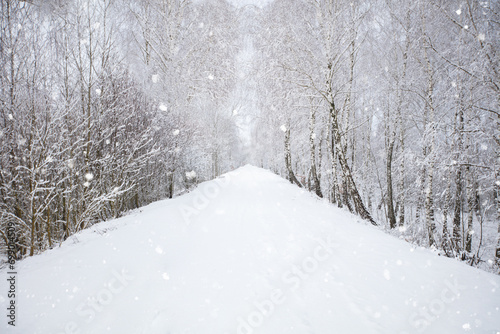 Winter snowy road and forest. Nature in winter. © Светлана Лазаренко