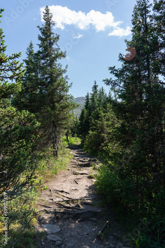 Beautiful landscape in the mountains. Protected area in the forest. Summer walk in the forest to the mountains.