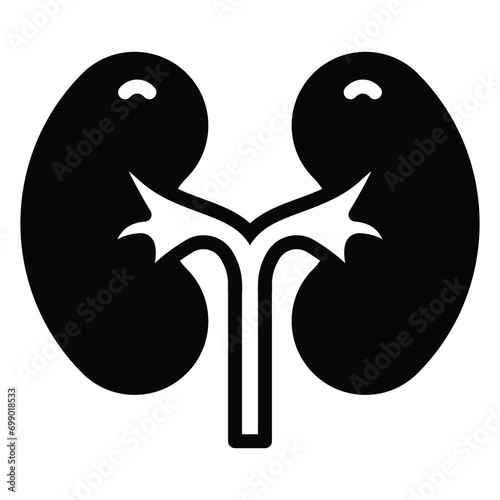  Master filters purifying blood, regulating fluid balance, and producing urine.