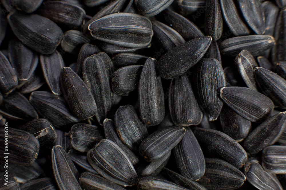Sunflower grains for making oil, seeds for a healthy diet Sunflower grains for making oil, seeds for a healthy diet