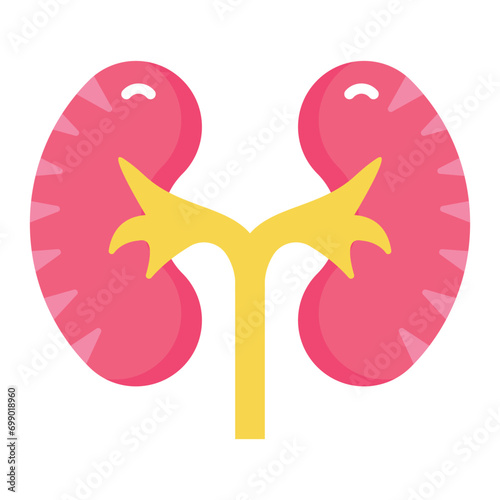  Master filters purifying blood, regulating fluid balance, and producing urine.