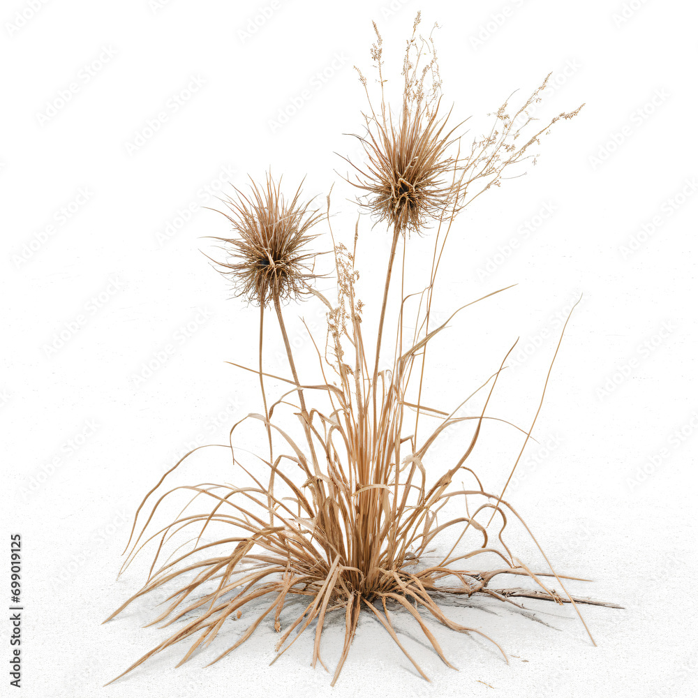 3D Dead Plant and Dry Grass: A Touch of Nature’s Cycle  On transparent background PNG file