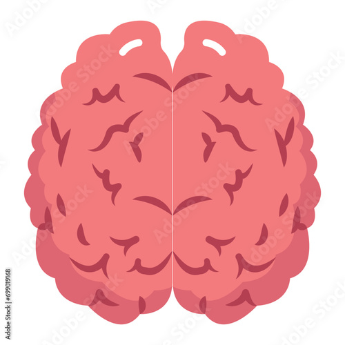  The command center, orchestrating thoughts, emotions, and bodily functions.