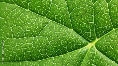 Fresh green leaf texture macro close-up. Generative AI