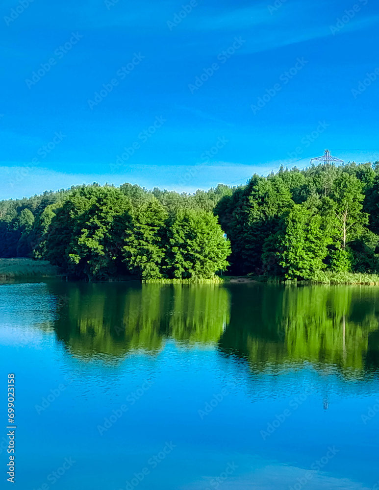 Coast of a Wdzydze Lake. Pure nature.