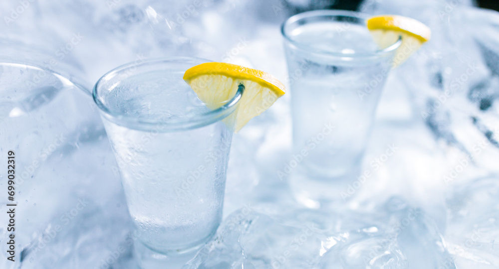 Two glasses of vodka with ice and lemon Two glasses of vodka with ice and lemon