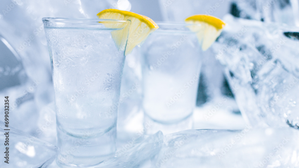 Two glasses of vodka with ice and lemon Two glasses of vodka with ice and lemon