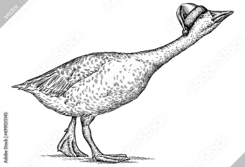 Vintage engraving isolated duck set dressed christmas illustration goose ink santa costume sketch. Farm bird background silhouette geese new year hat art. Black and white hand drawn vector image