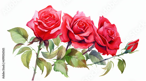 Red roses with buds and petals watercolor on white background
