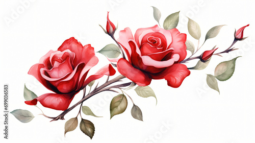 Red roses with buds and petals watercolor on white background