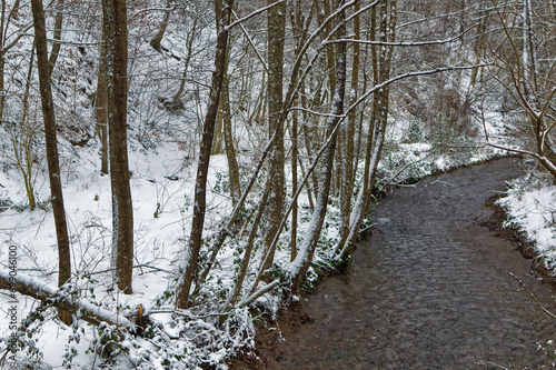 Natural forest landscape covered with snow during cold winter day.