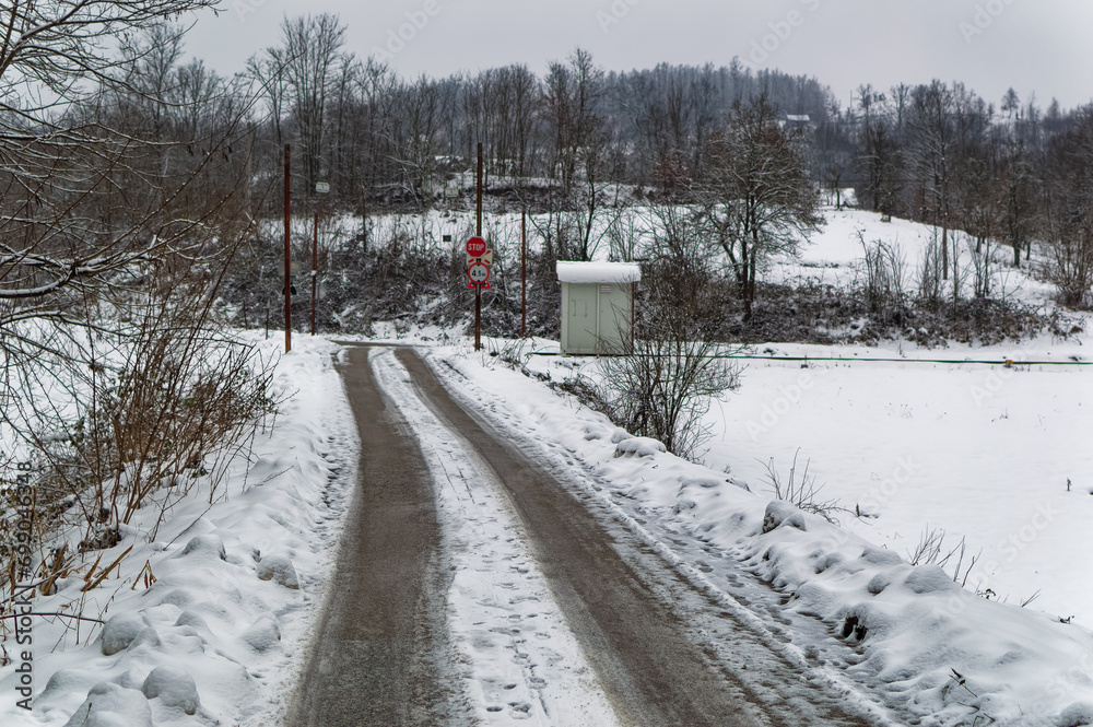 Natural forest landscape covered with snow during cold winter day.