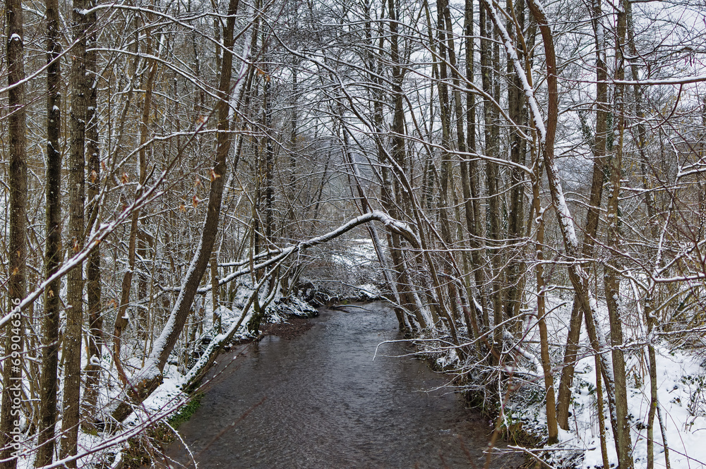 Natural forest landscape covered with snow during cold winter day.