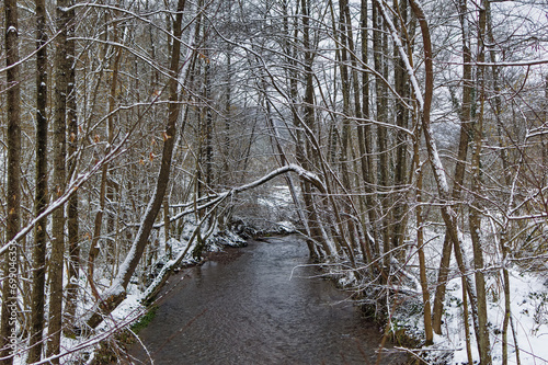 Obraz na płótnie Natural forest landscape covered with snow during cold winter day. w salonie