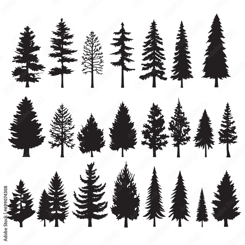 Pine tree silhouettes. Evergreen forest 