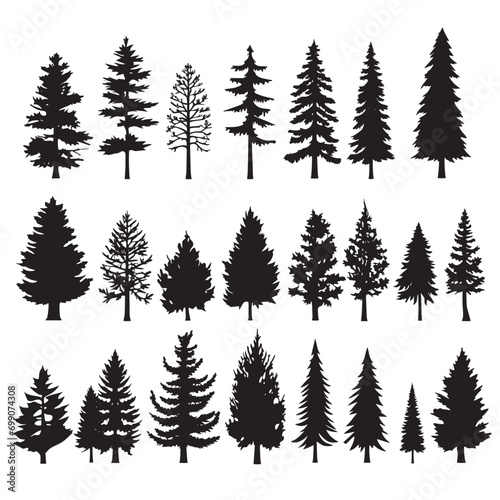 Pine tree silhouettes. Evergreen forest 