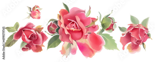 Red watercolor roses isolated on a white background. Hand-drawn illustration.