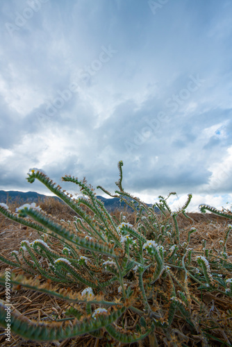 Looking at the sea from the coastal green area. Looking at the sea from the rocks on a cloudy day. Sea view from red cliffs.Cyprus coast.