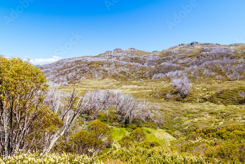 Whites River Hut in Kosciuszko National Park in Australia